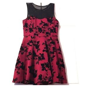 Flocked Velvet Rose Skater Dress
